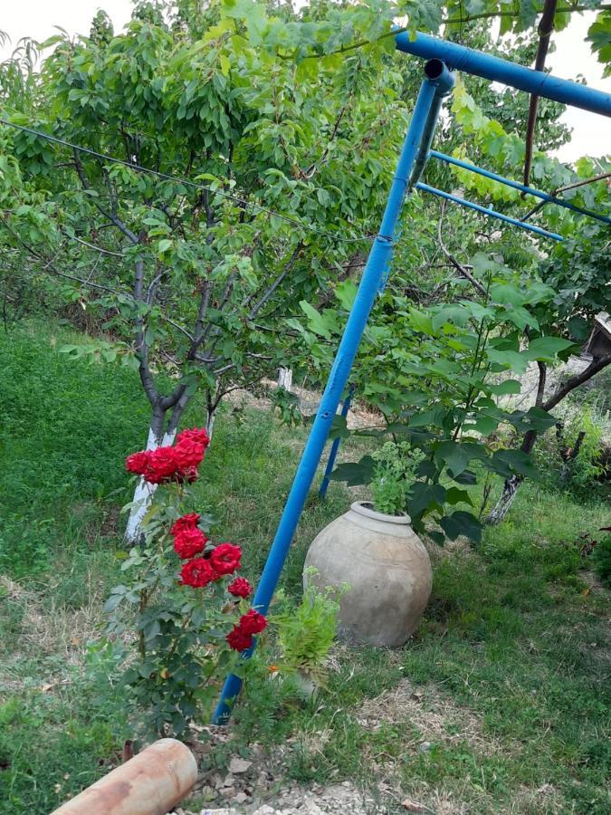 Ararat B&B Chʼiva Zewnętrze zdjęcie